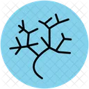 Roots Plant Underground Icon