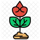 Rose Flower Plant Icon