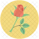 Rose Flower Love Icon