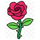 Rose Love Valentine Icon