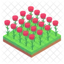 Rose Fields Flowers Garden Floral Garden Icon