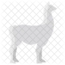 Lama Tier Tierwelt Symbol