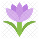 Saffron Icon