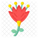 Saffron Flower  Icon