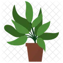 Indoor Plant Ornamental Plant Houseplant Decoration Icon