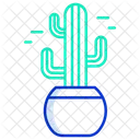 Saguaro Kaktus Kaktustopf Kaktuspflanze Symbol