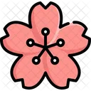 Sakura Japan Tree Icon