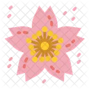 Sakura Flower Spring Icon