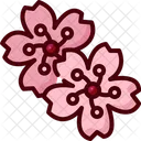 Sakura Flower Cherry Blossom Icon