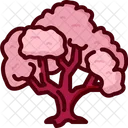 Sakura Flower Tree Icon