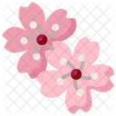 Sakura Flower Cherry Blossom Icon