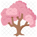 Sakura Flower Tree Icon