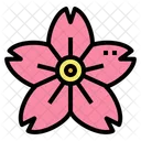 Sakura  Icon