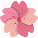 Sakura Blossom Flower Icon