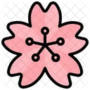 Sakura  Icon