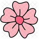 Sakura Flower Spring Icon