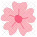 Sakura  Icon