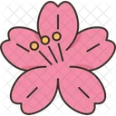 Sakura  Icon