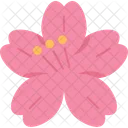 Sakura  Icon