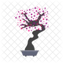 Nature Bonsai Tree Icon