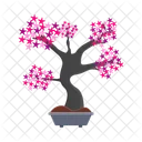 Nature Bonsai Tree Icon