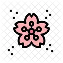 Sakura Flower Sakura Flower Icon