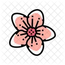 Sakura Flower  Icon