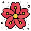 Sakura Flower Cherry Blossom Icon