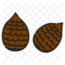 Salak  Icon