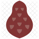 Salak  Icon