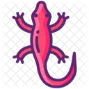 Salamander Ecology Nature Icon