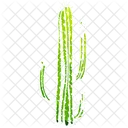 Cactus Icon