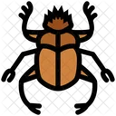 Scarab  Icon