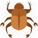 Scarab  Icône