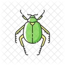 Scarab Animal Wildlife Icon