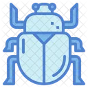 Scarab Beetle  Icon