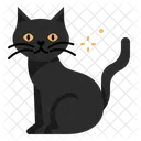 Schwarze Katze  Symbol