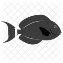 Schwarzer Doktorfisch Meerestier Tier Symbol