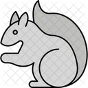 Sciuridae  Icon