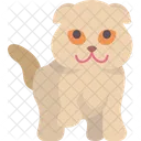 Scottish Fold Kitty  Icon