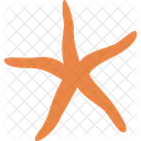 Sea star  Icon