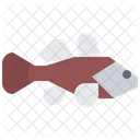 Seafood Fish Food Icon