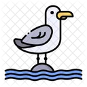 Seagull Bird Animal Icon