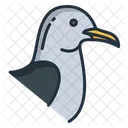 Seagull Seabird Birds Icon