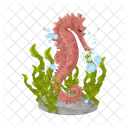 Seahorse  Icon