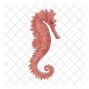 Seahorse  Icon