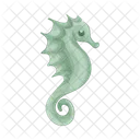 Seahorse  Icon