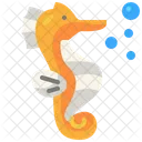 Seahorse  Icon