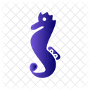 Seahorse  Icon