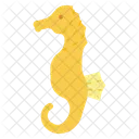 Seahorse  Icon